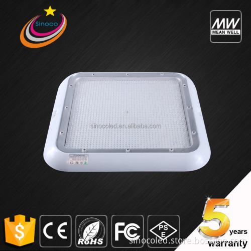 PSE ATEX-Proof LED Lighting for Underground Anti-Explosion Gas Station Fixtures IP65